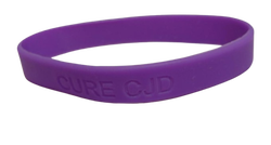 CURE CJD Wristband 